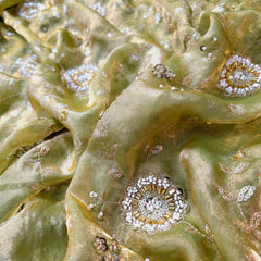 Mirha Hand Embroidered Grayish Olive Organza Shimmer Tissue with intricate Floral Sequin Embroidery