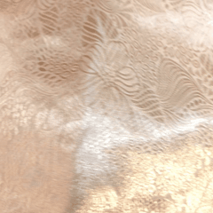 Pure Banarasi Tissue Silk Brocade with all over Floral Pattern (Dyeable)