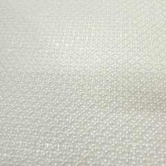 Cream Off-White Color Georgette Fabric with Chikankari Work & Sequin Highlights