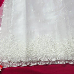 Dyeable Organza Dupatta