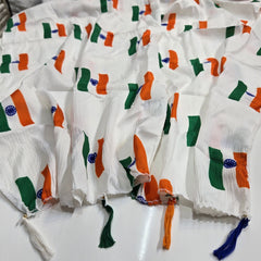 Tricolor Stripe Dupatta