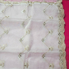 Dyeable Organza Dupatta
