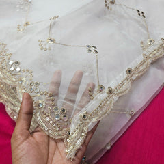 Dyeable Organza Dupatta