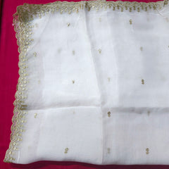 Dyeable Organza Dupatta