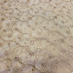 Dyeable Shimmer Tissue Fabric with Floral Vine Work & Mirror Highlights