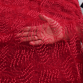 Red Embroidered on Red Net Fabric with Pearl work