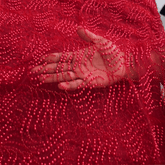 Red Embroidered on Red Net Fabric with Pearl work