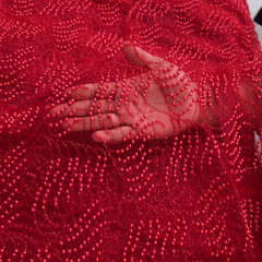 Red Embroidered on Red Net Fabric with Pearl work