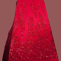 Red Embroidered on Red Net Fabric with Cutdana, Pearl & Sequin Work