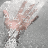 Mia Floral Lacey Embroidered Net Fabric