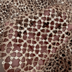 Cutwork Embroidered Fabric in Geometric Grid with Sequin Highlights