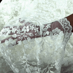 Davina Ivory Lacey Net Embroidered Fabric with Sequin work