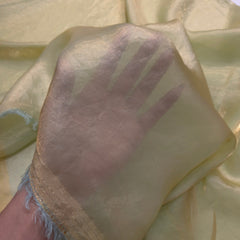 Light Moss Green Color Two - Tone Soft Organza