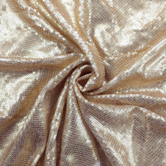 Zarkari Georgette Fabric with Golden Chevron Sequin Work