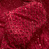 Maroon Embroidered on Red Net Fabric with Cutdana & Sequin Work