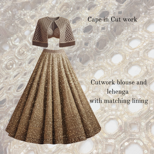 Net Cutwork Embroidered Fabric 2992