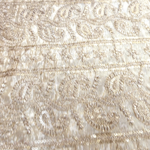 Embroidered Shimmer Tissue Dyeable Fabric with Paisley Sequin & Zari Work Border