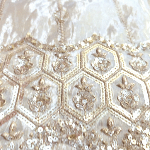 Embroidered Shimmer Tissue Dyeable Fabric with Floral and Hexagon Motif Sequin & Zari Work Border