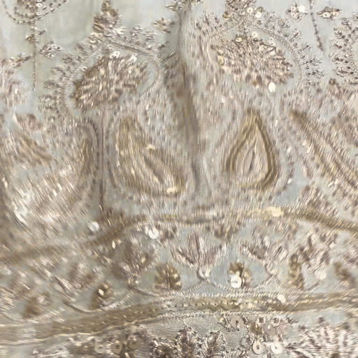 Dyeable Shimmer Tissue base Fabric with Floral work & Paisley Border