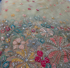 Multicolor Embroidered Floral butta with Floral Resham work Border on Beige Net