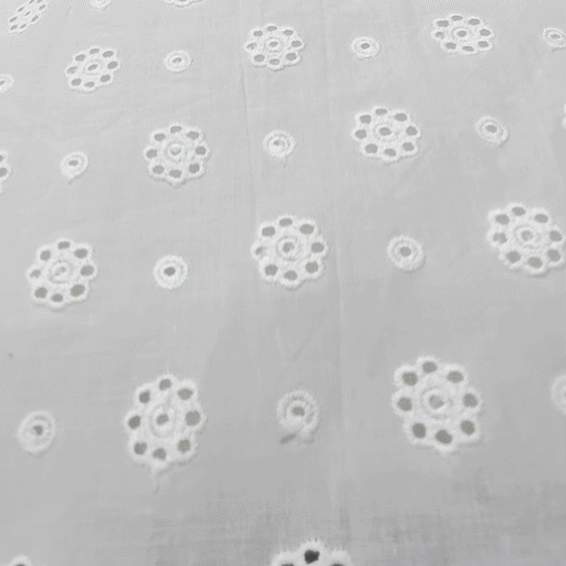 White Hakoba Cotton Fabric with Floral Cutwork