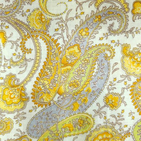 Paisley Digitally Printed Cotton Fabric