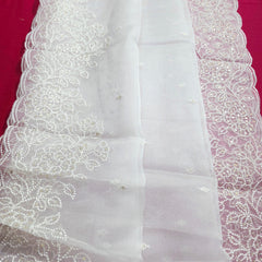 Dyeable Organza Dupatta
