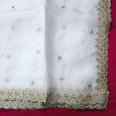 Dyeable Organza Dupatta