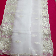 Dyeable Organza Dupatta