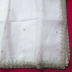 Dyeable Organza Dupatta