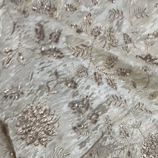 Embroidered Dyeable Shimmer Tissue Fabric with all over Floral Motifs