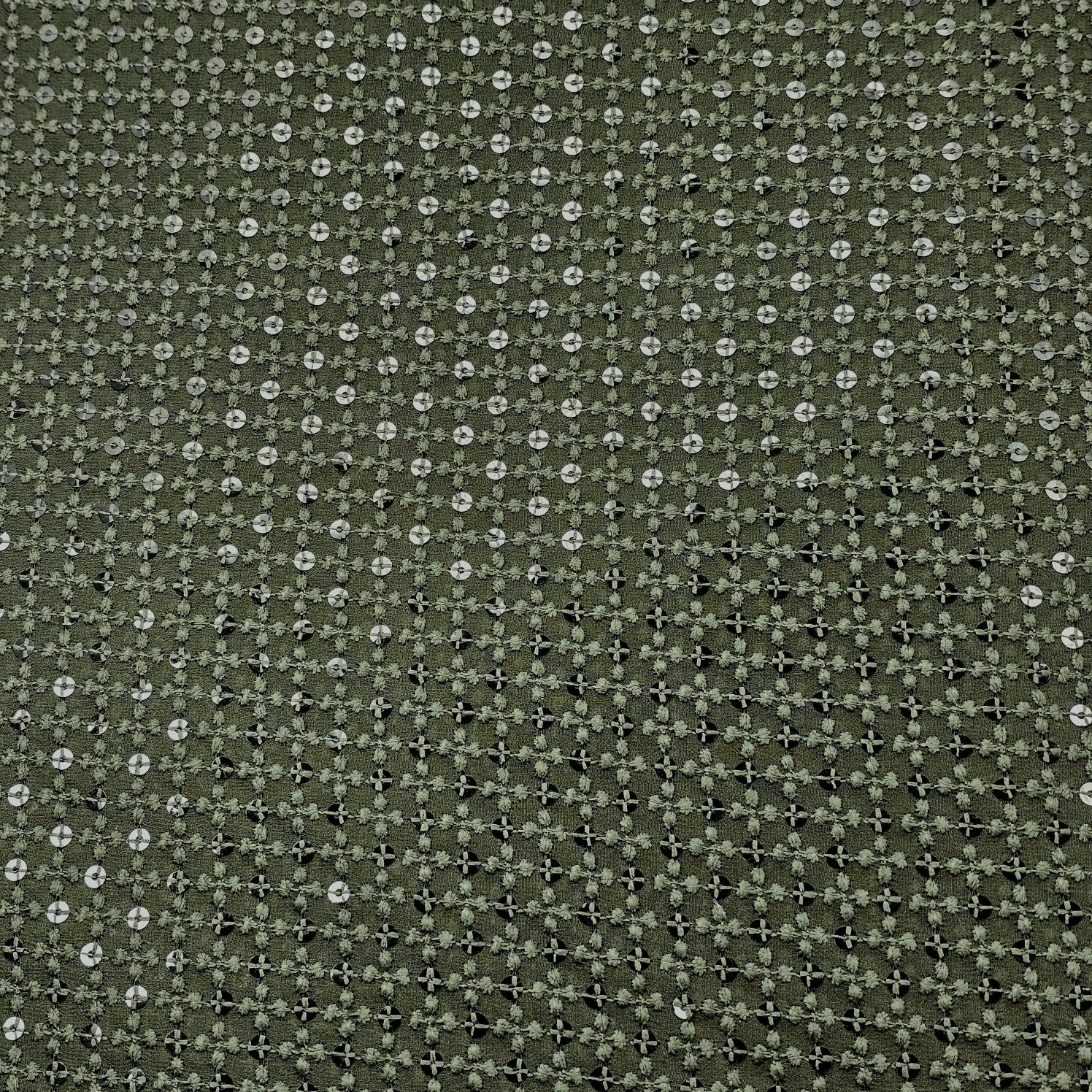 Embroidered Net with Sequins and Threadwork