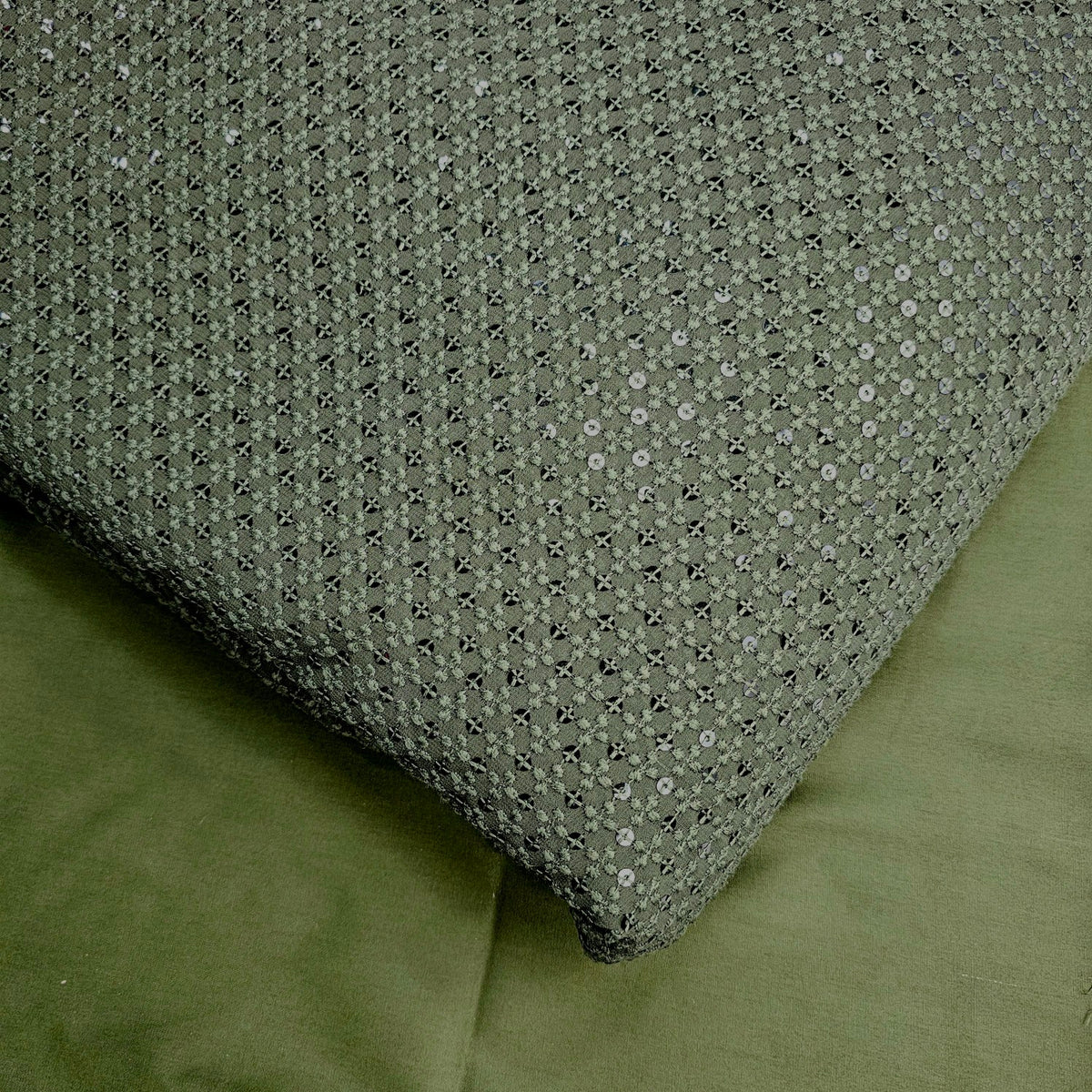 Embroidered Net with Sequins and Threadwork