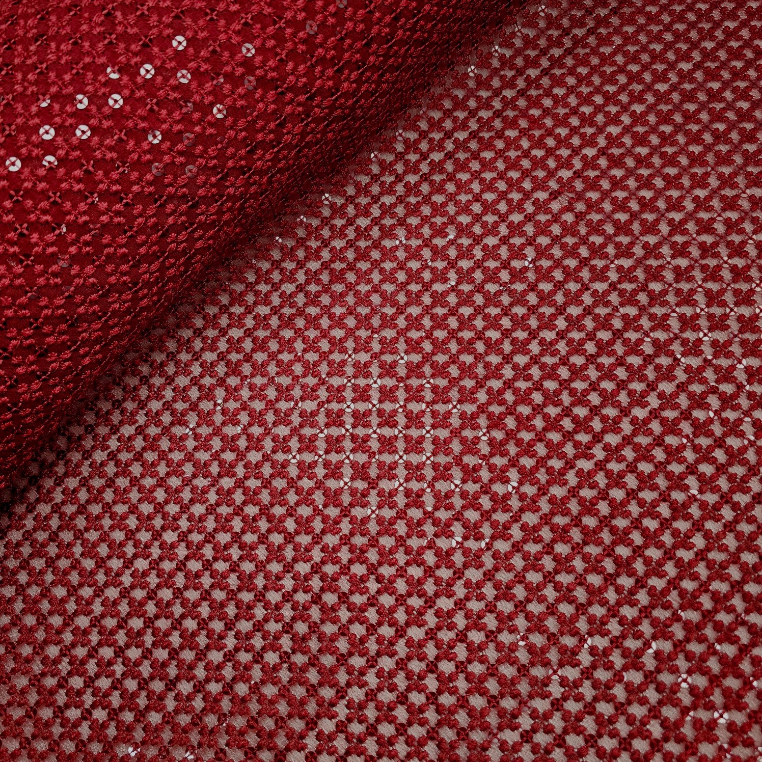 Embroidered Net with Sequins and Threadwork