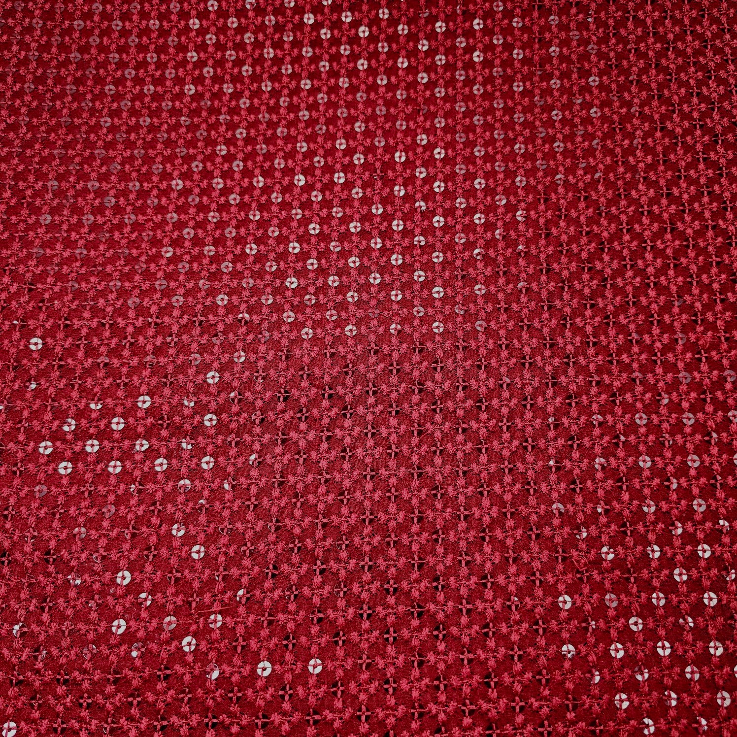 Embroidered Net with Sequins and Threadwork