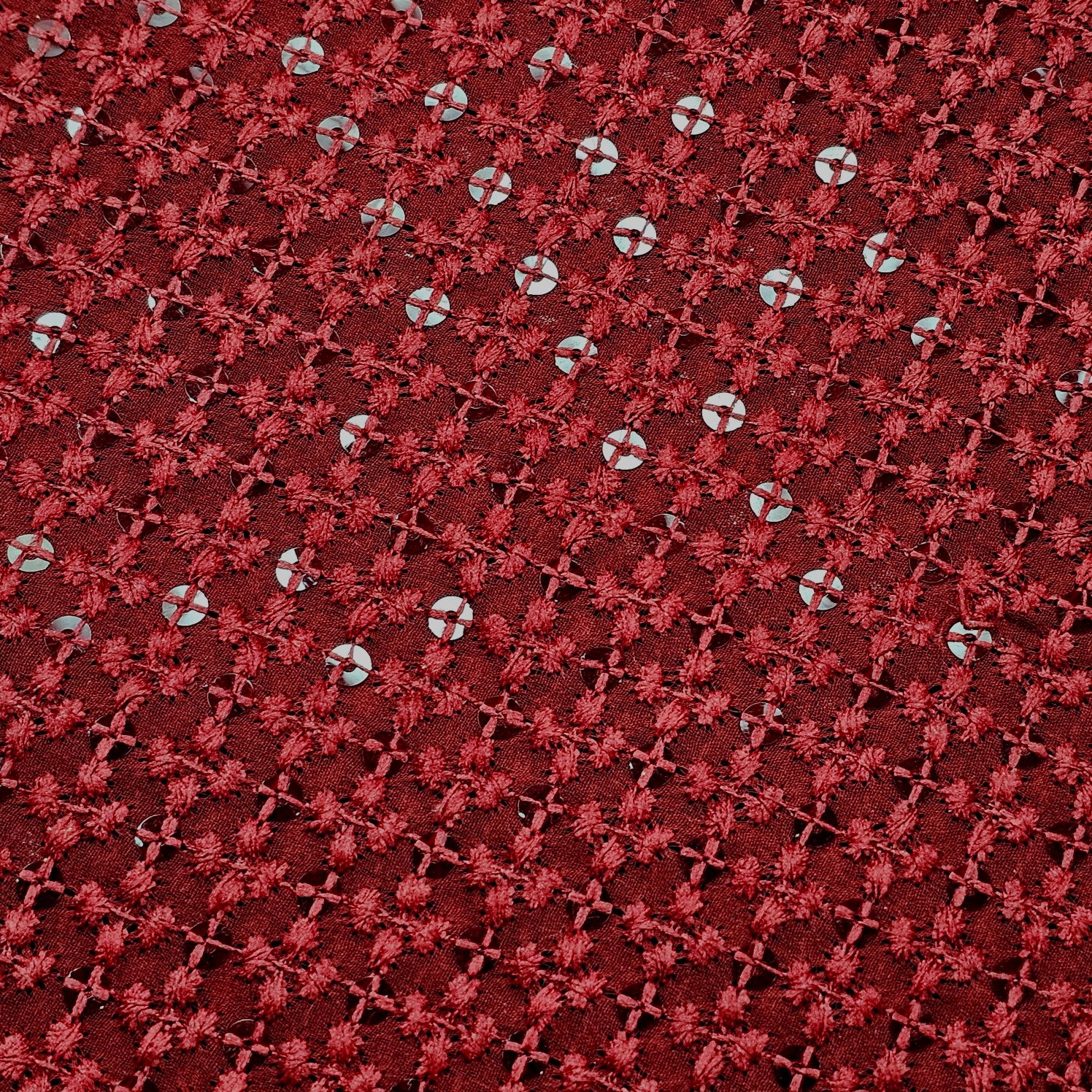 Embroidered Net with Sequins and Threadwork