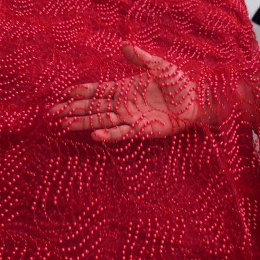 Red Embroidered on Red Net Fabric with Pearl work