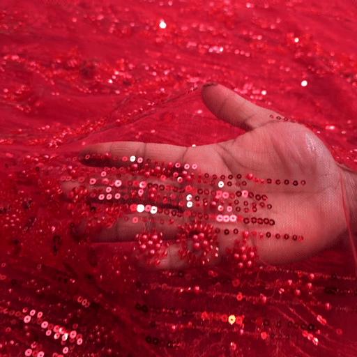 Red Embroidered on Red Net Fabric with Cutdana, Pearl & Sequin Work