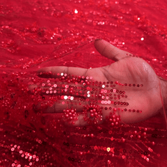 Red Embroidered on Red Net Fabric with Cutdana, Pearl & Sequin Work