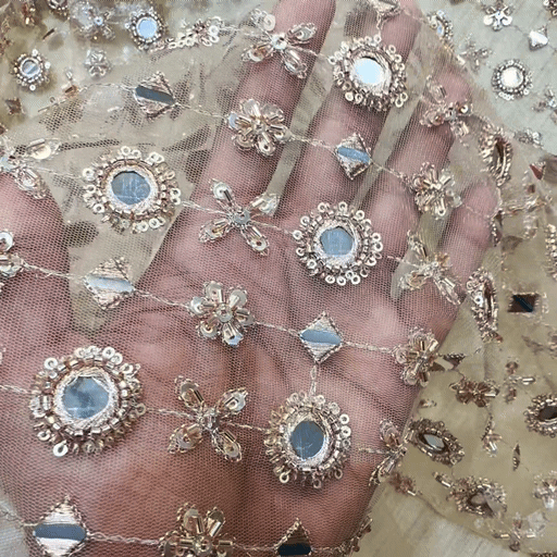 Mirror work on Beige Net Fabric with Zari & Sequin Work 512