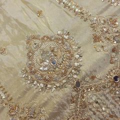 Dyeable Shimmer Tissue Fabric with Vertical Lines Sequin, Zari & Mirror Highlights with Floral Heavy work Border
