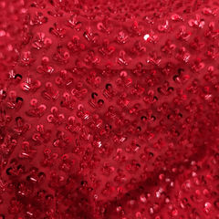 Red Embroidered on Red Net Fabric with Cutdana & Sequin Work