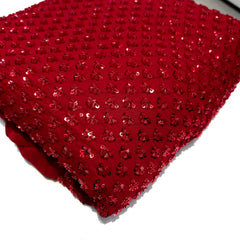 Red Embroidered on Red Georgette Fabric with Cutdana & Sequin Work