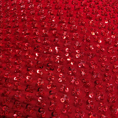 Red Embroidered on Red Net Fabric with Cutdana & Sequin Work