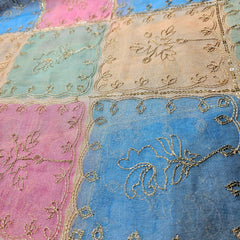 Position Print Organza with Zari and Sequin Work